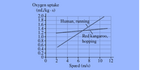 Oxygen uptake
(ml/kg - s)
2.04
1.8-
1.6-
1.4-
1.2-
1.0-
0.8-
0.6-
0.4-
0.2-
Human, running
Red kangaroo,
hopping
10
Speed (m/s)
4
6.
12
420
