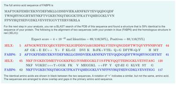 ### Full Amino Acid Sequence of FABP6

```
MAFTGKFEMECEKNYDEFMKLLGISSDVIEKARNFKIVTEVQQDGQDF
TWSQHYSGGHTMTNKFTVGKECNIQTMGKTFKATVQMEGGKLVVN
FPNYHQTSEIVGDKLVEVSTIGGVTYERVSKRLA
```

### Sequence Analysis

After determining the full amino acid sequence of FABP6, a BLAST search was conducted against the Protein Data Bank (PDB) to find similar structures. One structure was found to be 59% identical to the FABP6 sequence. The alignment of your protein (FABP6) is shown in blue, while the homologous structure (3ELX) is displayed in red.

**BLAST Alignment Results:**
- **Expect Score:** \(4 \times 10^{-42}\)
- **Identities:** 69/116 (50%)
- **Positives:** 88/116 (75%)

#### Sequence Alignment
```
3ELX:    5   AFNGKWETE...VTEIVQNGDDFTWTQYYPNNHVMT   64
          AF GK++E EC++  Y+ F KL+GI DVI K  R+FK+VTE+  Q+G D  F TW+Q+Y  H   MT   
FABP6:    2   AFTGKFMEC...TVEQQDGQDFTWSQHYSGGHTMT   61

3ELX:   65   NKF IVGKE...ISEIGGKLVE...VETSTASG     120
          NKF VGKEC++T+  G FK    V MEGKL+  +FP Y  QT+EI G  KLVE ST  G
FABP6:   62   NKFTVGKE...GKT FKATVQ...VEVSTIGG     117
```

### Alignment Explanation

- **Identical Amino Acids:** Shown in black.
- **Similar, Non-identical Amino Acids:** Noted by a "+" symbol.

The sequences are aligned to show overall gaps, indicating differences in the sequences but with substantial similarities.

This alignment can help in understanding the functional and structural similarities between the two protein sequences,