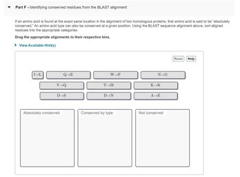 **Part F - Identifying conserved residues from the BLAST alignment**

If an amino acid is found at the exact same location in the alignment of two homologous proteins, that amino acid is said to be “absolutely conserved.” An amino acid type can also be conserved at a given position. Using the BLAST sequence alignment above, sort aligned residues into the appropriate categories.

**Drag the appropriate alignments to their respective bins.**

- **Amino Acid Alignments:**
  - I → L
  - Q → E
  - W → F
  - N → G
  - V → Q
  - T → M
  - K → K
  - D → S
  - D → N
  - A → E

**Bins:**
- Absolutely conserved
- Conserved by type
- Not conserved

**Interactive Elements:**
- Reset Button
- Help Button

_Note: This section of the webpage involves an interactive sorting activity where users classify the conservation of amino acid residues based on BLAST alignment data._