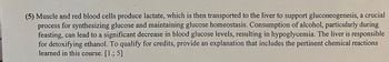 (5) Muscle and red blood cells produce lactate, which is then transported to the liver to support gluconeogenesis, a crucial
process for synthesizing glucose and maintaining glucose homeostasis. Consumption of alcohol, particularly during
feasting, can lead to a significant decrease in blood glucose levels, resulting in hypoglycemia. The liver is responsible
for detoxifying ethanol. To qualify for credits, provide an explanation that includes the pertinent chemical reactions
learned in this course. [1.; 5]