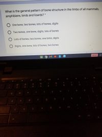 What is the general pattern of bone structure in the limbs of all mammals,
amphibians, birds and lizards? *
One bone, two bones, lots of bones, digits
Two bones, one bone, digits, lots of bones
Lots of bones, two bones, one bone, digits
Digits, one bone, lots of bones, two bones
Sign out
US
novo
0%
&
(
@
2#
24
5
7
8
e
r
t
y
d
f
g
h
V
b n m
C
alt
alt
