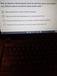 Why do distantly related species (such as ostriches, emus, and rheas) in
very different places sometimes share similar traits? *
O They evolved from a recent common ancestor
They can travel very long distances in a short period of time
The environments they live in are similar, so similar traits are selected
Humans have caused them to evolve through artificial selection
Lenovo
->
esc
&
@
%23
$4
4
6
7
1
e
t
y
tab
f
g
n m
shift
alt
ctrl
