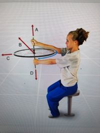 The image depicts a young person sitting on a stool and holding a spinning wheel mounted on a vertical axis. The wheel is positioned horizontally, and several vectors are drawn around it to illustrate different forces and motions:

1. **Vector A** - This arrow points upward and represents the angular momentum of the spinning wheel. It indicates the direction of the axis of rotation.

2. **Vector B** - This arrow points diagonally across the plane of the wheel and may represent a force applied by the person’s hand.

3. **Vector C** - This arrow is horizontal, pointing to the left, and may represent another force or motion affecting the wheel, possibly the torque.

4. **Vector D** - This arrow points downward and could represent gravitational force acting on the system.

The person appears to be holding the spinning wheel with both hands, suggesting they are demonstrating principles of angular momentum and torque. The setup is likely used to explain concepts in physics such as rotational motion, gyroscopic effects, and conservation of angular momentum.