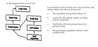 9. The diagram below is a food web
If an insecticide is used to destroy most of the leaf beetles, what
Large birde
will most likely be the effect on the food web?
The population of large birds will die out.
а.
Grass froge
Leaf beetle will multiply rapidly, providing
food for small birds
b.
Small birde
Small birds will avoid poisoned insects by
preying on frog
с.
Graashoppers
Leaf beetes
d.
The grasshopper population will have more
available food.
Loaty
vegetables
