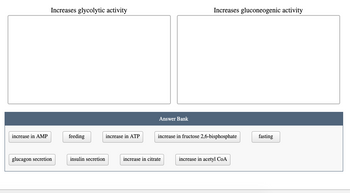 increase in AMP
Increases glycolytic activity
glucagon secretion
feeding
insulin secretion
increase in ATP
Answer Bank
Increases gluconeogenic activity
increase in fructose 2,6-bisphosphate
increase in citrate
increase in acetyl CoA
fasting