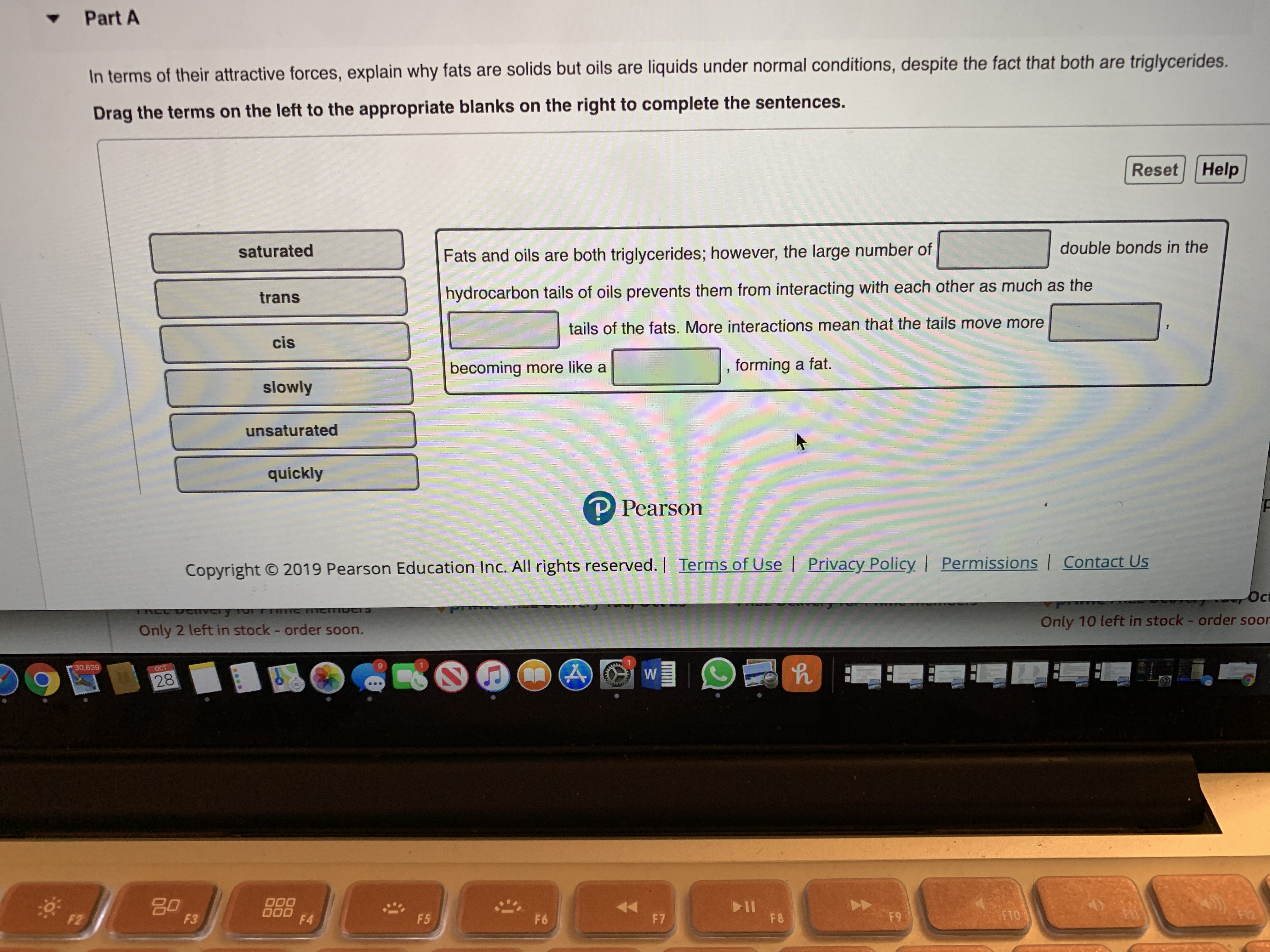 Part A
In terms of their attractive forces, explain why fats are solids but oils are liquids under normal conditions, despite the fact that both are triglycerides
Drag the terms on the left to the appropriate blanks on the right to complete the sentences.
Reset Help
double bonds in the
saturated
Fats and oils are both triglycerides; however, the large number of
hydrocarbon tails of oils prevents them from interacting with each other as much as the
trans
tails of the fats. More interactions mean that the tails move more
cis
forming a fat.
becoming more like a
slowly
unsaturated
quickly
Pearson
Privacy Policy Permissions Contact Us
2019 Pearson Education Inc. All rights reserved. | Terms of Use
Copyright
Oct
TRCE DCiVeIyTU ITIC TITCTTIDCTS
Only 10 left in stock - order soor
Only 2 left in stock - order soon.
30,639
A
OCT
On
28
go
F3
II
F 8
F1Z
000
F4
FTO
F9
F2
F 7
F5
F6
