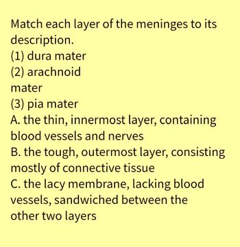 Match each layer of the meninges to its
description.
(1) dura mater
(2) arachnoid
mater
(3) pia mater
A. the thin, innermost layer, containing
blood vessels and nerves
B. the tough, outermost layer, consisting
mostly of connective tissue
C. the lacy membrane, lacking blood
vessels, sandwiched between the
other two layers