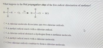 Answered: What happens in the first propagation… | bartleby