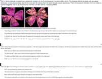 Part 1. Norrie disease is caused by a recessive mutation on the X chromosome in a gene called norrin. The disease affects the eyes and can cause
blindness. In the picture below, the left (A) and right (B) retinas from the same female mouse are shown. The X chromosome inherited from the father is
labeled magenta and the X chromosome inherited from the mother is labeled yellow.
А.
В.
From this picture, and the information you know about X chromosomes, what can you conclude?
Imprinting randomly renders one of these X chromosomes inactive per cell, so this is what you would expect from that process.
The maternal chromosome is likely imprinted in the left eye while the paternal chromosome is likely imprinted in the right eye.
In the left eye, more of the cells have the paternal chromosome inactivated than in the right eye.
In the left eye, more of the cells have the maternal chromosome inactivated than in the right eye.
Part 2. Given the information in the previous question, if the norrin gene donated by the father has a mutation, and the one donated by the mother does not, what will the result
be for these eyes?
Both eyes are likely to be nonfunctional (organism is fully blind)
The left eye (A) is likely to be nonfunctional (organism is blind in the left eye)
The right eye (B) is likely to be nonfunctional (organism is blind in the right eye)
Both eyes are likely to be functional (organism is not blind)
Part 3. If, rather than looking at a female mouse as shown in parts 1 and 2, you were observing the retina of a normal male mouse, what would you expect to see?
Both retinas should be labeled with yellow only.
The distribution of magenta and yellow will depend on whether the mouse inherited a mutation.
Both retinas will have equal amounts of magenta and yellow label.
The retinas could look very similar to the retinas from the female mouse in terms of differing magenta and yellow labels.
