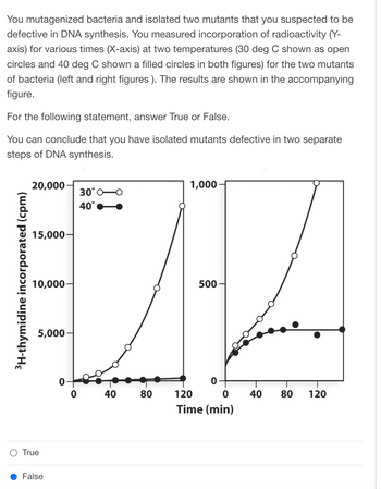 You mutagenized bacteria and isolated two mutants that you suspected to be defective in DNA synthesis. You measured incorporation of radioactivity (Y-axis) for various times (X-axis) at two temperatures (30 °C shown as open circles and 40 °C shown as filled circles in both figures) for the two mutants of bacteria (left and right figures). The results are shown in the accompanying figure.

For the following statement, answer True or False.

You can conclude that you have isolated mutants defective in two separate steps of DNA synthesis.

(Here, there are two graphs shown in the figure.)

**Left Graph:**
- **Y-axis:** 3H-thymidine incorporated (cpm)
- **X-axis:** Time (min)
- **Data Points:**
  - Open circles represent data at 30 °C
  - Filled circles represent data at 40 °C
- **Observations:**
  - At 30 °C: A steady increase in radioactivity incorporation over time, peaking at around 20,000 cpm at 120 minutes.
  - At 40 °C: No significant increase in radioactivity incorporation (values remain low, around 0 cpm).

**Right Graph:**
- **Y-axis:** 3H-thymidine incorporated (cpm)
- **X-axis:** Time (min)
- **Data Points:**
  - Open circles represent data at 30 °C
  - Filled circles represent data at 40 °C
- **Observations:**
  - At 30 °C: A gradual increase in radioactivity incorporation over time, peaking near 1,000 cpm at 120 minutes.
  - At 40 °C: No significant increase in radioactivity incorporation (values remain low, around 0 cpm).

**Multiple Choice Question and Answer:**
- ***Statement:*** You can conclude that you have isolated mutants defective in two separate steps of DNA synthesis.
  - **Answer Options:** True / False
  - **Marked Answer:** False