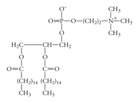 CH3
0=P-0-(CH2)2-N-CH3
ČH3
H2C-
-CH-CH2
O=C
C=0
(CH)14 (СH)14
ČH3
ČH3
