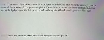 Trypsin is a digestive enzyme that hydrolyzes peptide bonds only when the carbonyl group in
the amide bond comes from lysine or arginine. Draw the structure of the amino acids and peptides
formed by hydrolysis of the following peptide with trypsin: Gly-Lys-Arg-Ala-Ala-Arg
Draw the structure of the amino acid phenylalanine at a pH of 1.