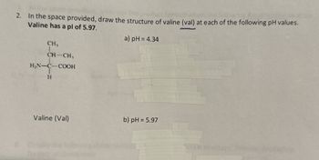 2. In the space provided, draw the structure of valine (val) at each of the following pH values.
Valine has a pl of 5.97.
CH₁
CH-CH,
H₂N-C-COOH
H
a) pH = 4.34
Valine (Val)
b) pH = 5.97