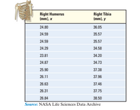 Right Humerus
(mm), x
Right Tibia
(mm), y
24.80
36.05
24.59
35.57
24.59
35.57
24.29
34.58
23.81
34.20
24.87
34.73
25.90
37.38
26.11
37.96
26.63
37.46
26.31
37.75
26.84
38.50
Source: NASA Life Sciences Data Archive
