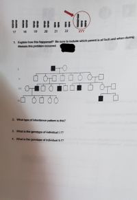 17 18 19
20
22
XYY
3. Explain how this happened? Be sure fo inckste shic panant is at fasst and swives dung
Meiosis this problem occured.
IV
2. What type of inheritance pattem is this?
3. What is the genotype of individual -1?
4. What is the genotype of individual -7?
21
