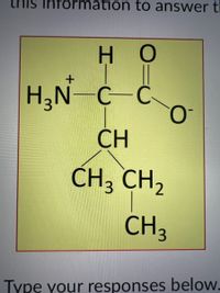 This image displays the structural formula of an amino acid, specifically the ionized form of leucine. The diagram can be broken down as follows:

- The central carbon atom (C) is bonded to four groups: 
  - An amino group (\( \text{H}_3\text{N}^+ \))
  - A hydrogen atom (H)
  - A carboxylate group (\( \text{COO}^- \))
  - A side chain with a branched alkyl group

- The side chain consists of the following:
  - A methylene group (\( \text{CH} \)), which is bonded to two additional groups:
    - One methyl group (\( \text{CH}_3 \))
    - A second carbon atom (\( \text{CH}_2 \)) that is part of a methyl group (\( \text{CH}_3 \))

Overall, the structure demonstrates the basic features of an amino acid with a specific emphasis on the branched-chain structure typical of leucine. This structural representation is significant in studying how the structure of amino acids influences protein structure and function.