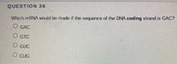 QUESTION 36
Which MRNA would be made if the sequence of the DNA coding strand is GAC?
O GAC
GTC
O GTC
O GUC
O CUG
