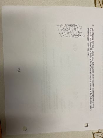 2. A protein is a polymer of amino acids that assume a unique structure in space primarily using
intermolecular forces. Identify/circle the IMF that give protein structure in the following picture.
Briefly describe these key IMFs.
198