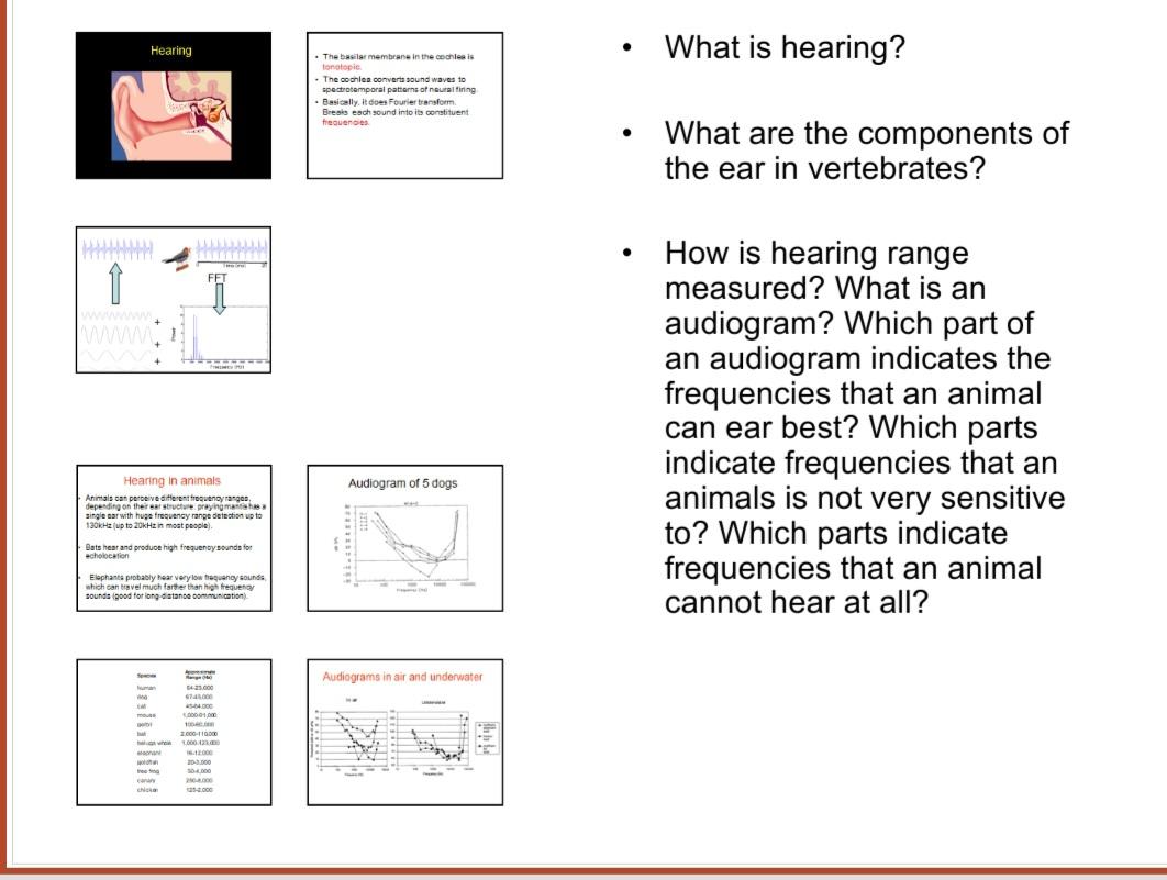 Answered: What is hearing? What are the… | bartleby