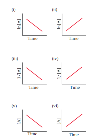 Answered: (i) (ii) Time Time (iii) (iv) Time Time… | bartleby