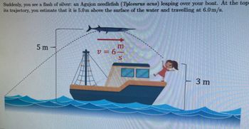 Suddenly, you see a flash of silver: an Agujon needlefish (Tylosurus acus) leaping over your boat. At the top
its trajectory, you estimate that it is 5.0 m above the surface of the water and travelling at 6.0 m/s.
5 m
m
v=6-
S
3 m