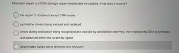 Mismatch repair is a DNA damage repair mechanism we studied, what does it involve?
the repair of double-stranded DNA breaks
pyrimidine dimers being excised and replaced
errors during replication being recognized and excised by specialized enzymes, then replaced by DNA polymerase,
and attached within the strand by ligase
deaminated bases being removed and replaced