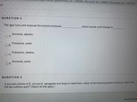 e_assessment_id%3D_269040_1&course_id%3_34609_1&content_id%3D_3357971
aps
QUESTION 5
The agar turns pink because the enzyme produces
which causes a pH change to
Ammonia, alkaline
O A.
Putrescine, acidic
O B.
Putrescine, alkaline
OC.
Ammonia, acidic
OD.
QUESTION 6
If you had cultures of E. coli and E. aerogenes and forgot to label them, which of the following assays would you use to tell
the two cultures apart? (Select all that apply.)
Save All Ans
