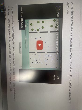 **Educational Transcript: Membrane Diffusion and Osmosis**

**Section Overview:**

In this section, we explore the concept of diffusion and osmosis across two membranes using a simulation.

**Visual Aid Description:**

- A screenshot from a membrane simulator video demonstrating diffusion and osmosis.
- The screen shows a division with two different areas separated by membranes.
- Green spheres represent glucose molecules, and blue dots represent water molecules.

**Instructions:**

Watch the video clip to understand how molecules move across the membranes and answer the following question:

"In the scenario shown above, the green spheres are glucose molecules, and the blue dots are water molecules. In terms of concentration, will this solution reach equilibrium?"

**Video Controls:**

- Play/Pause button for the video is available.
- A slider controls the "Pore Size" in the simulation, influencing the passage of molecules.
- The video includes tracing options to monitor individual molecules.

Understanding these concepts is crucial for comprehending how substances move in biological systems.