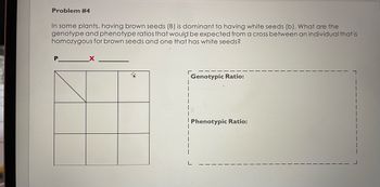 Problem #4
In some plants, having brown seeds (B) is dominant to having white seeds (b). What are the
genotype and phenotype ratios that would be expected from a cross between an individual that is
homozygous for brown seeds and one that has white seeds?
P
Genotypic Ratio:
Phenotypic Ratio: