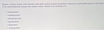 Myosin, a motor protein that interacts with actin to drive muscle movement, is bound to a phosphate group at one stage
of its conformational change that causes motion. Myosin is an example of a
hemoprotein.
O metalloprotein
Ophosphoprotein
glycoprotein
O lipoprotein
O nucleoprotein