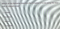 Which of the following describes the formation of a clot along the inner
wall of a blood vessel?
O embolis
O thrombus
O pläque
O hemophila
