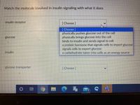 Match the molecule involved in insulin signaling with what it does
insulin receptor
[Choose ]
[Choose]
physically pushes glucose out of the cell
physically brings glucose into the cell
binds to insulin and sends signal to cell
a protein hormone that signals cells to import glucose
signals cells to export glucose
a carbohydrate taken into cells as an energy source
glucose
insulin
glucose transporter
[ Choose ]
近
