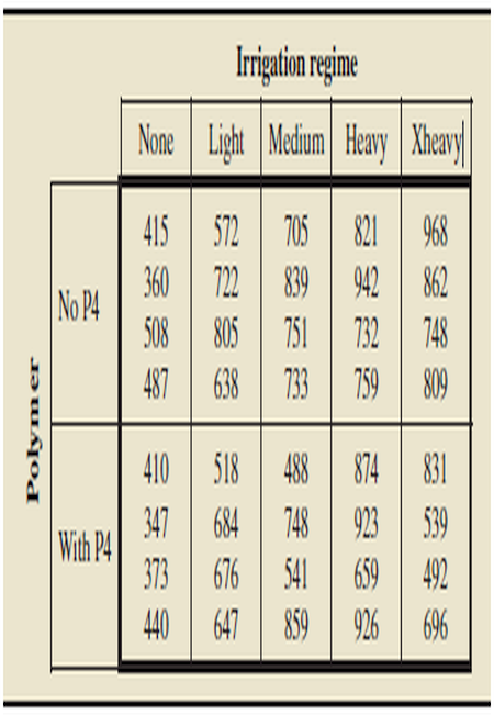 Irigatim regime
None
Light Madum Hay Xheayl
572 | 705| 821| 968
No P4
518| 488 | 874 | 831
With P4
Polymer
