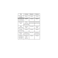 Trait
Archaea
Bacteria
Eukarya
Nuclear
Absent
Absent
Present
envelope
Peptidoglycan
in cell walls
Absent
Present
Absent
Membrane
Some
Unbranched Unbranched
branched hydrocarbons hydrocarbons
hydrocarbons
lipids
RNA
Several
One kind
Several
polymerase
kinds
kinds
Circular
Present
Present
Absent
chromosome
Introns in
Present in
Very rare
Present in
genes
some genes
many genes
Histones
Present in
Absent
Present
associated
some
with DNA
species
