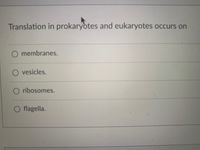 Translation in prokaryotes and eukaryotes occurs on
O membranes.
O vesicles.
ribosomes.
O flagella.
