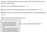 Taqpep is a single transmembrane domain protein, with its protease domain and C-
terminus outside the cell.
(i) What type of transmembrane protein is it?
(ii) Does it have an N-terminal peak above 2 on a Kyte-Doolittle plot? NO +
(iii) Does it have any 18-25 amino acid wide peaks above 2 on a Kyte-Doolittle plot?
YES +
(iv) How does it insert into the ER membrane?
N-terminal signal peptide
olic vs. lumen) relative to membranes of:
C-terminal signal peptide
TM
mitochondrial signal sequence
nuclear localization sequence
