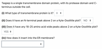 Taqpep is a single transmembrane domain protein, with its protease domain and C-
terminus outside the cell.
(i) What type of transmembrane protein is it?
(ii) Does it have an N-terminal peak above 2 on a Kyte-Doolittle plot? NO +
(iii) Does it have any 18-25 amino acid wide peaks above 2 on a Kyte-Doolittle plot?
YES +
(iv) How does it insert into the ER membrane?
