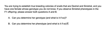 **Title: Determining Genotype and Phenotype in Snail Breeding Experiments**

You are attempting to establish true breeding colonies of snails that are Dextral and Sinistral. You have one female whose genotype you do not know. If you observe Sinistral phenotypes in the F1 offspring, please answer both questions A and B.

**A. Can you determine her genotype (and what is it if so)?**

  - Analysis: If Sinistral phenotypes appear in the F1 generation, this suggests the presence of recessive alleles. This can help determine that the female snail carries alleles for Sinistral orientation. Evaluating the genetic background and pattern of inheritance will guide the determination.

**B. Can you determine her phenotype (and what is it if so)?**

  - Analysis: Since phenotype refers to observable traits, a Sinistral phenotype in offspring does not necessarily indicate the phenotype of the parent. Observing the shell coiling in the parent can assist in determining this female snail's phenotype.

**Note:** Further genetic testing or breeding experiments might be necessary for accurate determination of the genotype and phenotype. Understanding the patterns of inheritance and the principles of genetics is crucial in such experiments.