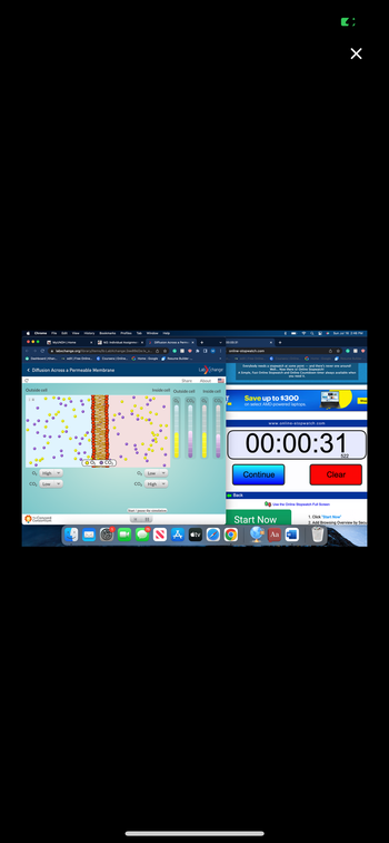 C
Chrome File Edit View History Bookmarks Profiles Tab Window Help
N MYUNOH | Home
< Diffusion Across a Permeable Membrane
O
Outside cell
→→ C labxchange.org/library/items/lb:LabXchange:2ee89d2e:lx_s...
Dashboard | Khan... ex edx | Free Online... C Coursera | Online... G Home: Google
0₂
High
CO₂ Low
M2: Individual Assignmen
The Concord
Consortium
-
00₂ O CO₂
> Diffusion Across a Permea X
B
O
0₂ Low
CO₂ High
☆
75
Inside cell Outside cell
O₂ CO₂
●
Start/pause the simulation
II
K
Resume Builder ....
Share
+
* ☐ M
D
Lab change
About
Atv
Inside cell
O₂ CO
00:00:31
online-stopwatch.com
in... ex edx | Free Online...
Back
Save up to $300
on select AMD-powered laptops.
☎
G Home: Google
Resume Builder
C Coursera | Online..
Everybody needs a stopwatch at some point and there's never one around!
Well... Now there is! Online Stopwatch!
A Simple, Fast Online Stopwatch and Online Countdown timer always available when
you need it.
www.online-stopwatch.com
Continue
Q
Start Now
00:00:31
Aa
C
. Sun Jul 16 2:46 PM
1 Use the Online Stopwatch Full Screen
×
Clear
522
Shop
1. Click "Start Now"
2. Add Browsing Overview by Secu
NA