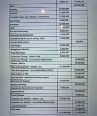 Debits (E)
Credits (E)
160,000,000
Sales
55,000,000
Property
Goodwill
15,000,000
Intangible Assets (e.g. Patents, Trademarks))
25,000,000
Advertising
6,000,000
Purchases
60,000,000
Land
15,000,000
Pre-paid Advertising
2,000,000
Cash and Cash Equivalents
25,000,000
Inventories (at the 1st of January 2020)
32,000,000
Accrued Bank Interest
100,000
Staff Wages
20,000,000
Management Salaries
4,000,000
Trade Receivable
5,000,000
Fixture and Fittings Historic Cost
28,000,000
Fixture and Fittings Accumulated Depreciation
14,000,000
Pension Liability
10,000,000
Tools and Equipment Historic Cost
Tools and Equipment Accumulated Depreciation
120,000,000
80,000,000
Share Capital (E100)
50,000,000
Rent Received (additional warehouse space)
2,000,000
Bank Interest Expense,
10,000,000
Retained Earnings
58,000,000
General and Administrative Expenses
9,000,000
Share Premium
20,000,000
Trade Payables
4,900,000
Assembly Line Machine Historic Cost
100,000,000
Assembly Line Machine Accumulated Depreciation
67,000,000
Asset Revaluation
5,000,000
Bank Loan
60,000,000
531,000,000
531,000,000
