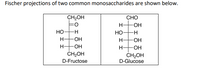 Fischer projections of two common monosaccharides are shown below.
CH2OH
CHO
H-
Но-
Но-
-H
H-
-O-
H-
H-
-O-
H-
ČH2OH
ČH2OH
D-Glucose
D-Fructose
