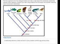 Answered: pout evolutionary relationships.… | bartleby