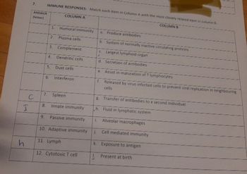 I
h
7. IMMUNE RESPONSES: Match each item in Column A with the most closely related item in column B
ANSWER
(letter)
COLUMN A
COLUMN B
1. Humoral immunity
a. Produce antibodies
2.
Plasma cells
3. Complement
b. System of normally inactive circulating proteins
c. Largest lymphoid organ
4.
Dendritic cells
d. Secretion of antibodies
5.
Dust cells
C
6. Interferon
7. Spleen
8. Innate immunity
9.
Passive immunity
10. Adaptive immunity
11. Lymph
12. Cytotoxic T cell
e. Assist in maturation of T lymphocytes
f. Released by virus infected cells to prevent viral replication in neighbouring
cells
8 Transfer of antibodies to a second individual
h. Fluid in lymphatic system
i Alveolar macrophages
j. Cell mediated immunity
k. Exposure to antigen
Present at birth