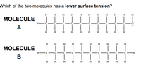 Which of the two molecules has a lower surface tension?
H
H
H
H
H
H H
H
H
MOLECULE
H-
С —
0:
А
H.
H
H
H
H
H.
H.
н н
H.
MOLECULE
H
B
H.
