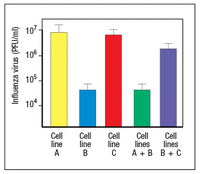 This bar graph illustrates the amount of Influenza virus, measured in Plaque-Forming Units per milliliter (PFU/ml), across different cell lines. The x-axis represents five different conditions: Cell line A, Cell line B, Cell line C, Cell lines A + B, and Cell lines B + C. The y-axis, on a logarithmic scale, depicts the titer of Influenza virus ranging from \(10^4\) to \(10^7\) PFU/ml.

### Detailed Analysis:
- **Cell line A (Yellow Bar)**:
  - The virus titer is around \(10^7\) PFU/ml, indicating a high level of virus production.
  - This is the highest value among the presented data.

- **Cell line B (Blue Bar)**:
  - The virus titer is roughly \(10^5\) PFU/ml.
  - This is the lowest value among the individual cell lines.

- **Cell line C (Red Bar)**:
  - The virus titer is also around \(10^7\) PFU/ml, similar to Cell line A.
  
- **Cell lines A + B (Green Bar)**:
  - The virus titer is approximately \(10^5\) PFU/ml, indicating similar results to Cell line B.

- **Cell lines B + C (Purple Bar)**:
  - The virus titer is around \(10^6\) PFU/ml.
  - This value is higher than the individual Cell line B and combination of A + B but lower than Cell lines A and C.

### Error Bars:
Each bar includes an error bar, which depicts the standard deviation, indicating the variability of the virus titer measurement for each condition. Larger error bars signify greater variability in the measurements.

### Conclusion:
The graph provides a clear comparison of how different cell lines and their combinations influence the production of Influenza virus. Cell lines A and C show the highest levels of virus production, while Cell line B yields the lowest. Combined cell lines (A + B and B + C) exhibit intermediate virus production levels.