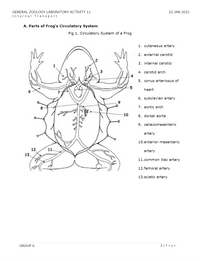 Answered: GENERAL ZOOLOGY LABORATORY ACTIVITY 11… | bartleby