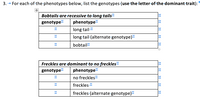 3. → For-each of the phenotypes below, list the genotypes (use the-letter of the dominant trait):
Bobtails are recessive to long tails"
genotype
phenotype
long tail
long tail-(alternate genotype)
bobtail
Freckles are dominant to no freckles
genotype
phenotype
no freckles
freckles
freckles (alternate genotype)
