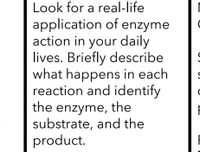 Look for a real-life
application of enzyme
action in your daily
lives. Briefly describe
what happens in each
reaction and identify
the enzyme, the
substrate, and the
product.
