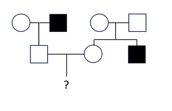 Answered: The Above Pedigree Shows Inheritance Of… | Bartleby