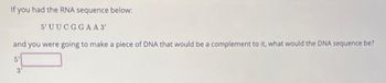 If you had the RNA sequence below:
5' UUCGGA A 3¹
and you were going to make a piece of DNA that would be a complement to it, what would the DNA sequence be?
5'
3'